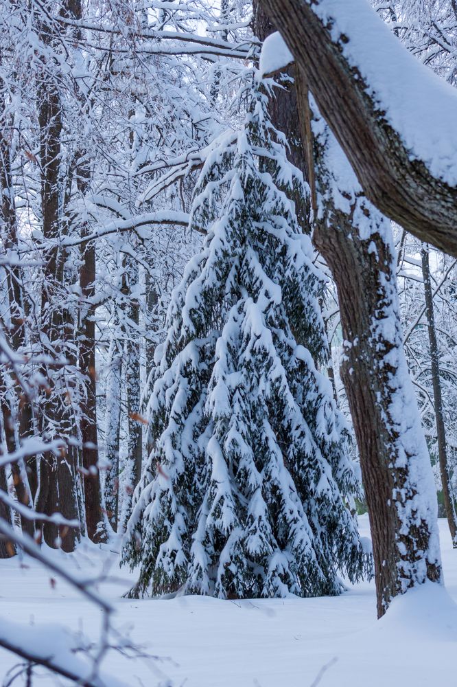 Photograph by Ольга Заповедная