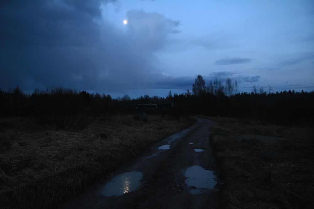 Фотография автора Анастасия Зверева