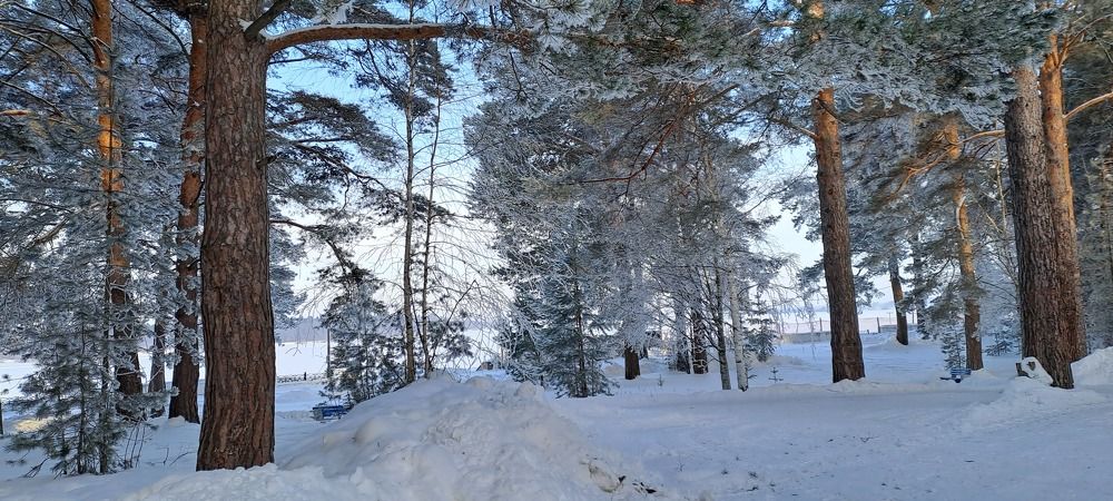 Photograph by Николай Худяков