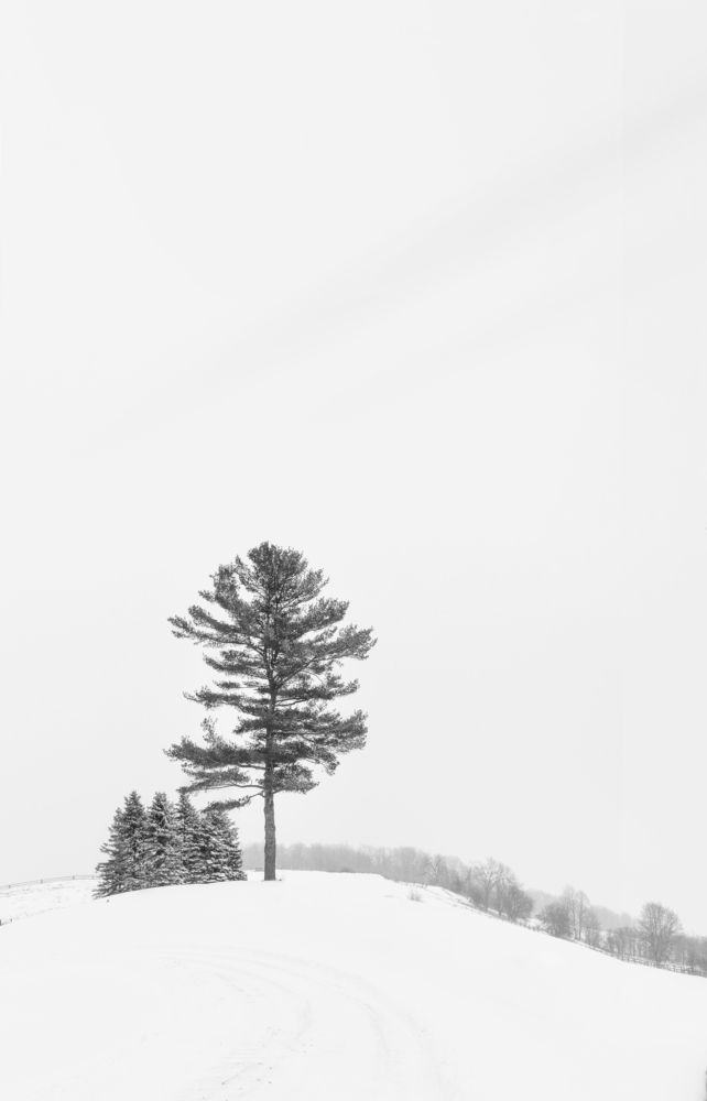 Фотография автора Liyan Dai