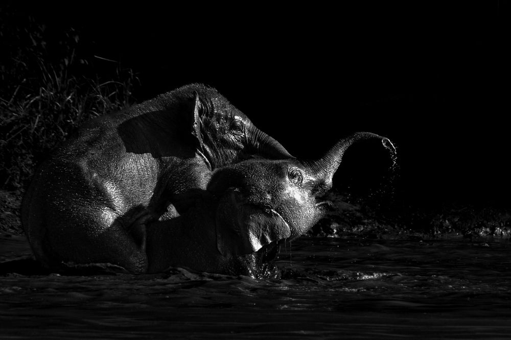 Photograph by Satrajit Dutta