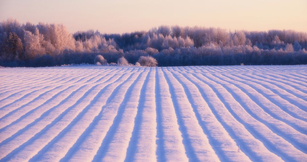 Фотография автора Boris Konovalov