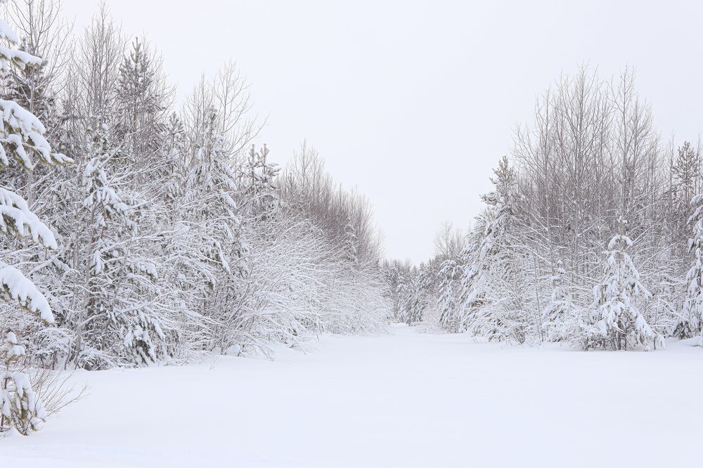 Photograph by Наталья Исаева