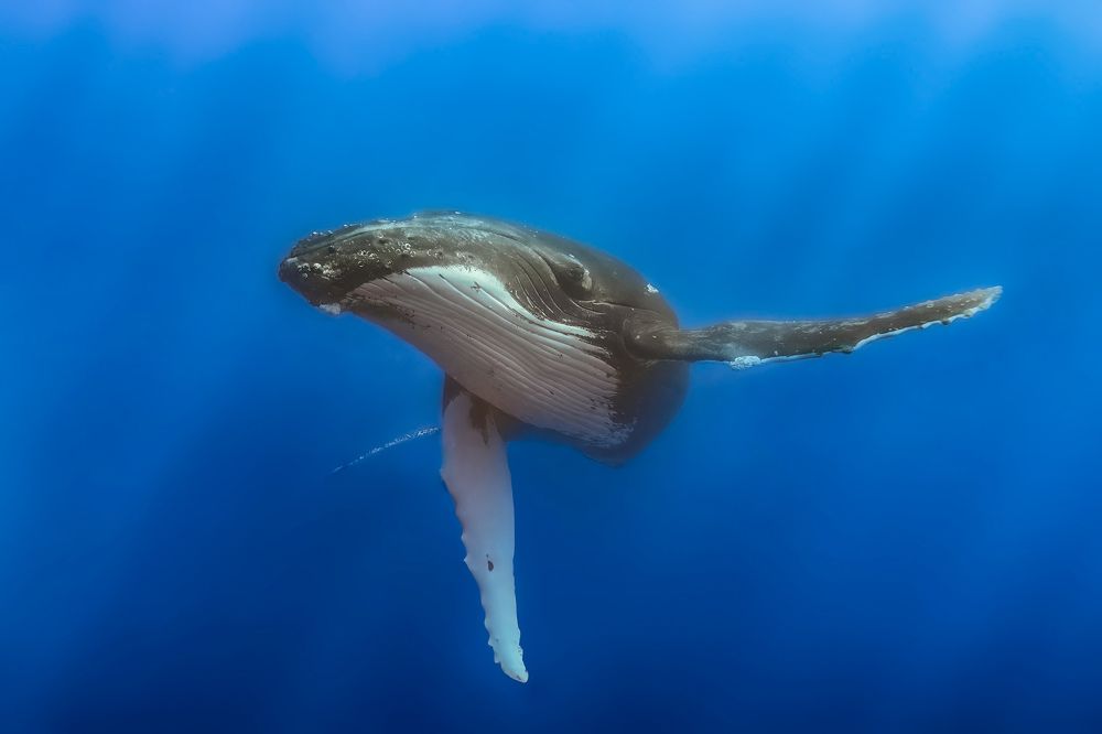 Photograph by Труханов Илья