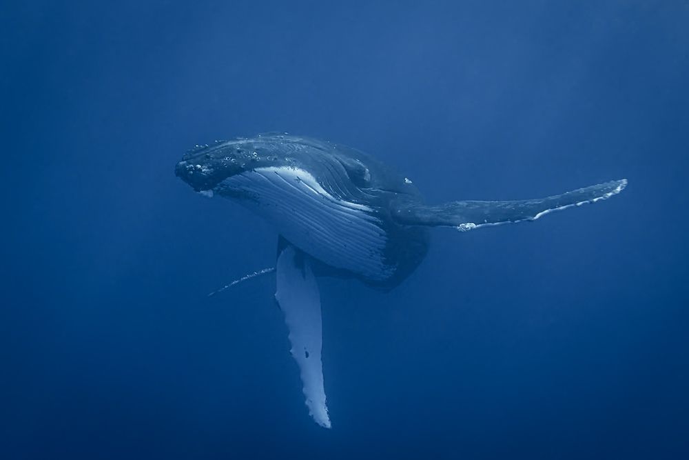 Photograph by Труханов Илья