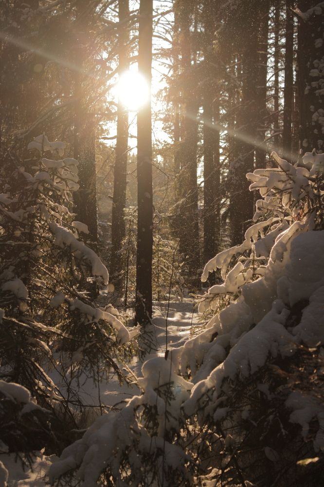 Photograph by Елизавета Цемко