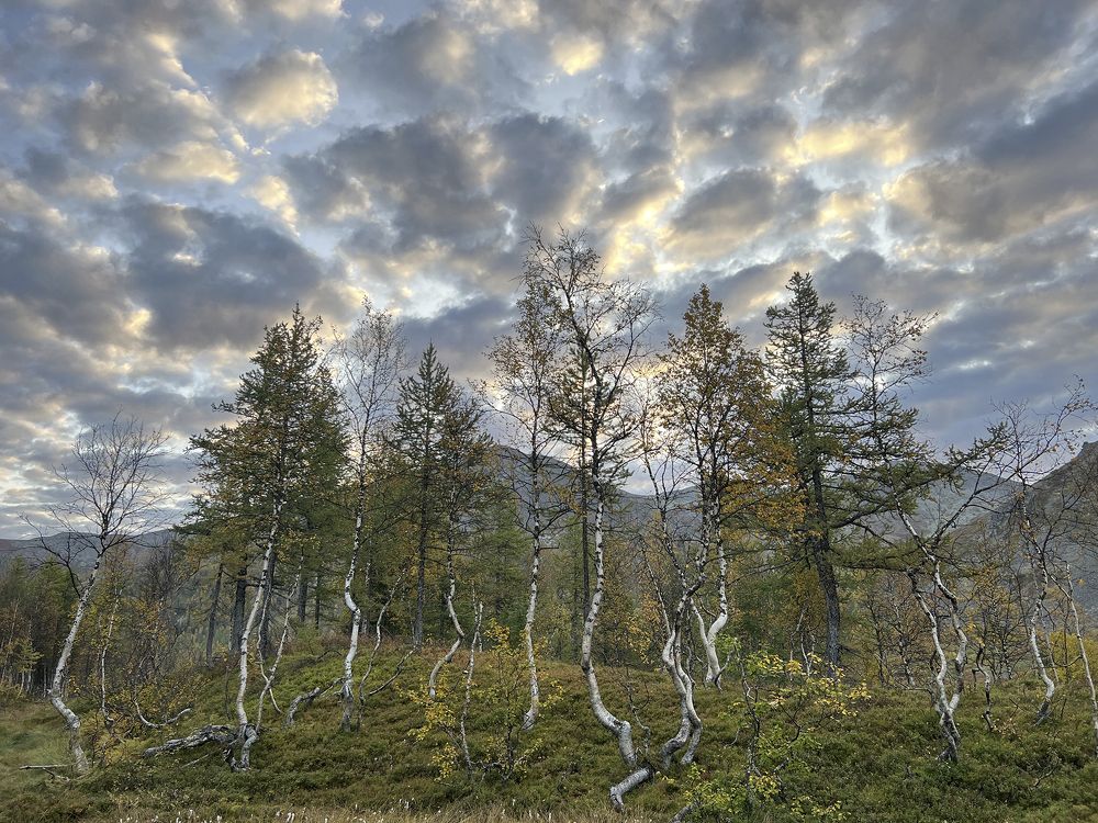 Photograph by Владислав Костылев