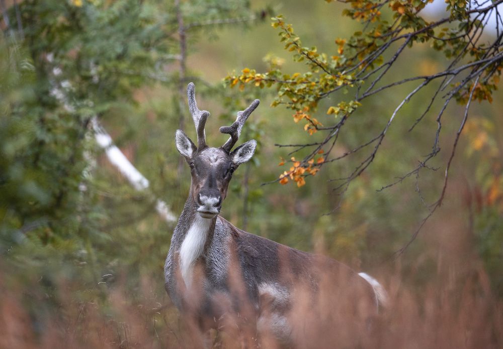 Photograph by Владислав Костылев