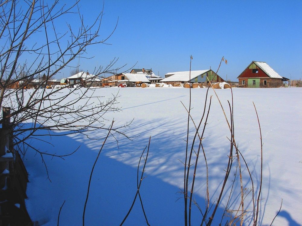 Photo #10177126