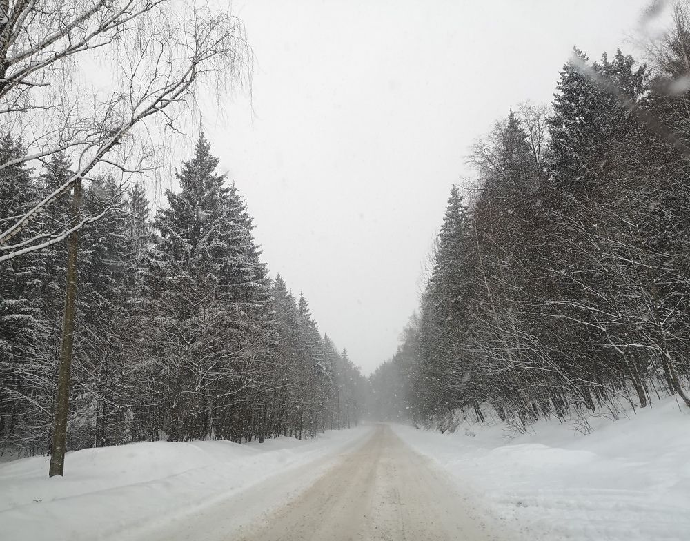 Photograph by Екатерина Борисовна Кузьмина