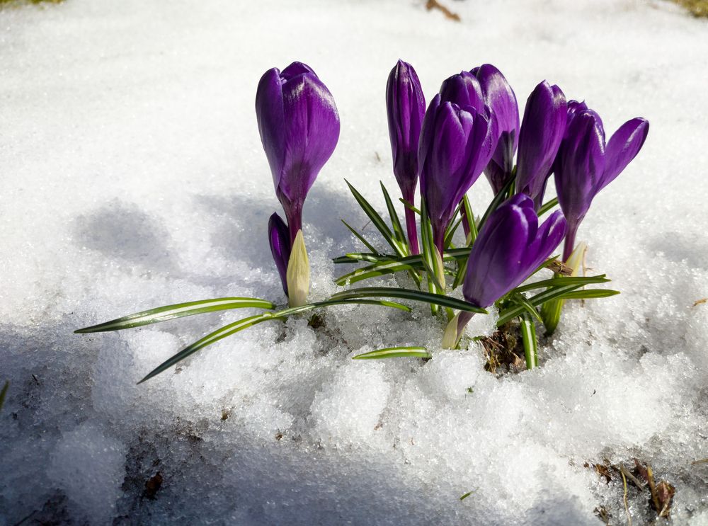 Photograph by Руслан Гончар