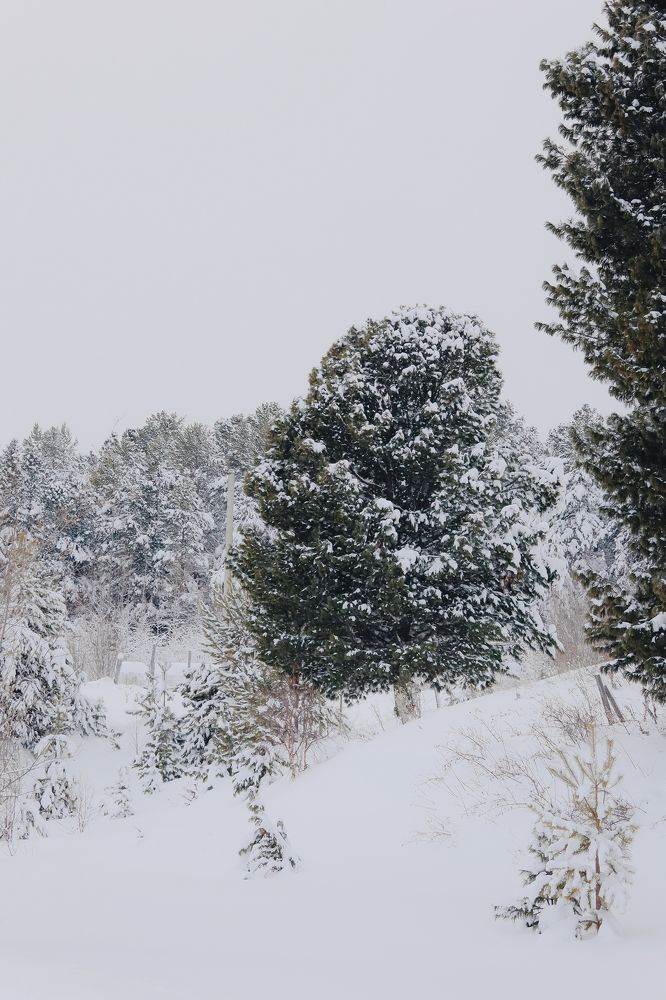 Photograph by Наталья Исаева