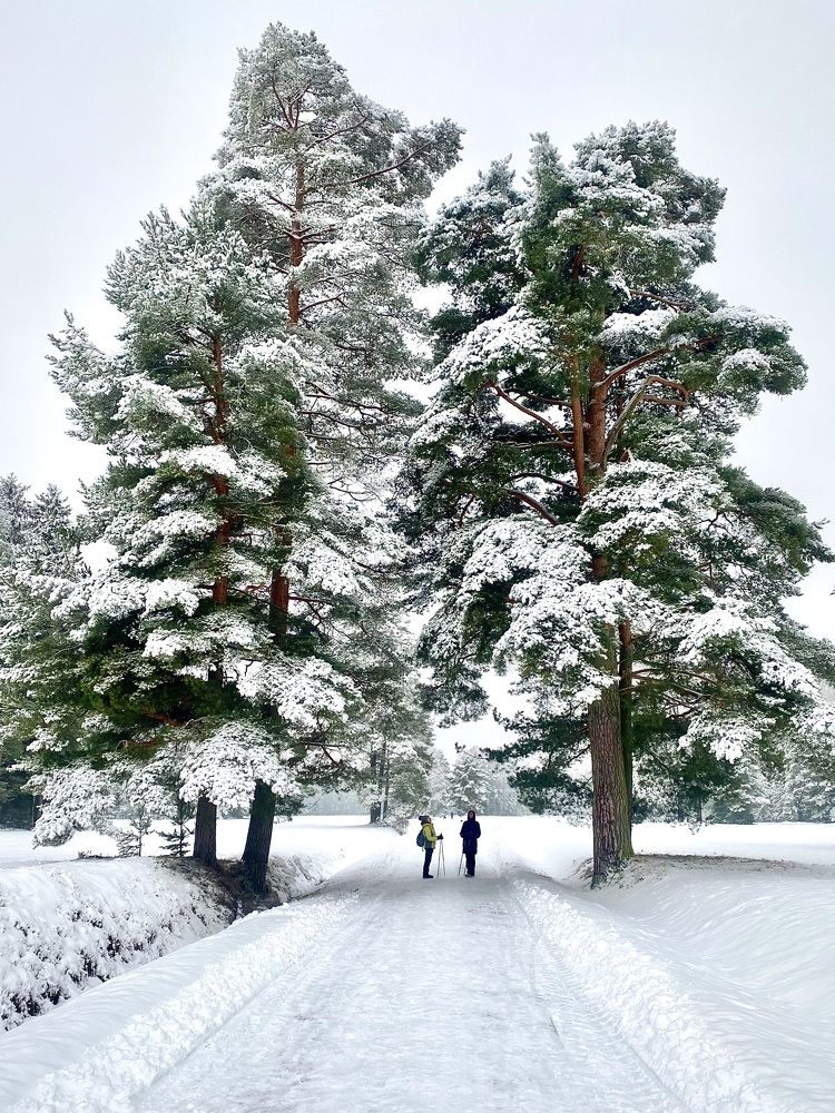 Photograph by Иованна Решетова