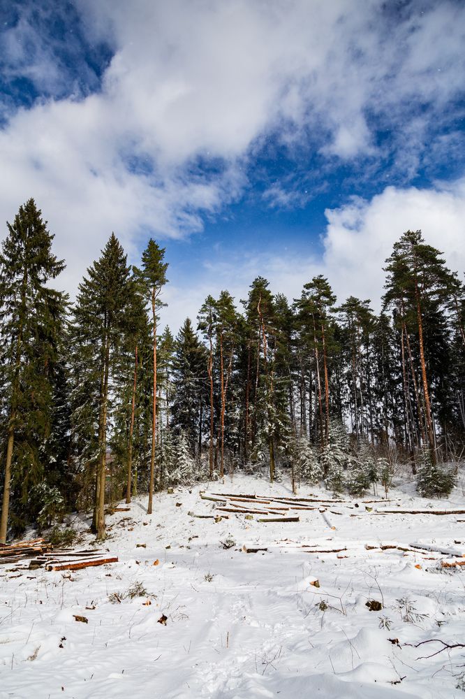 Photograph by Nika Prokopenko