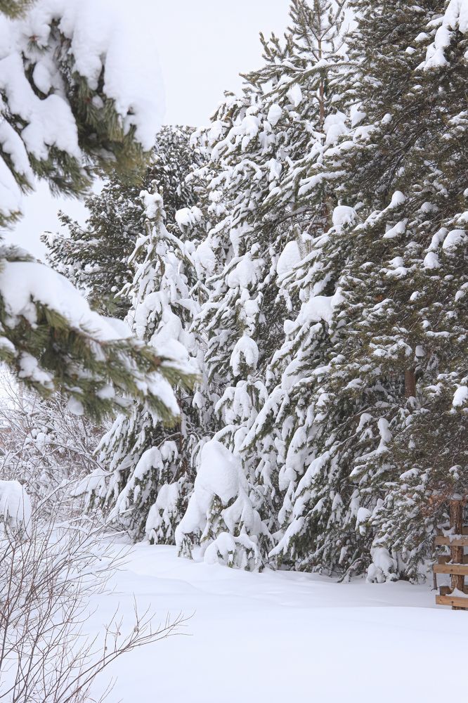 Photograph by Наталья Исаева