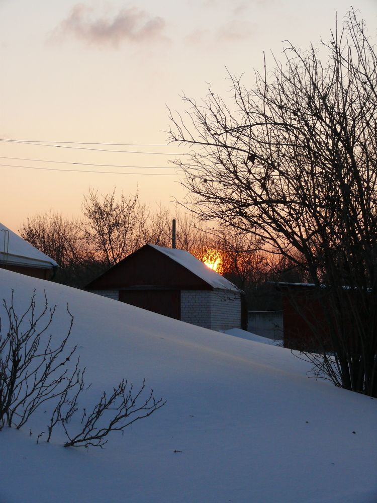 Photograph by Елена Попова