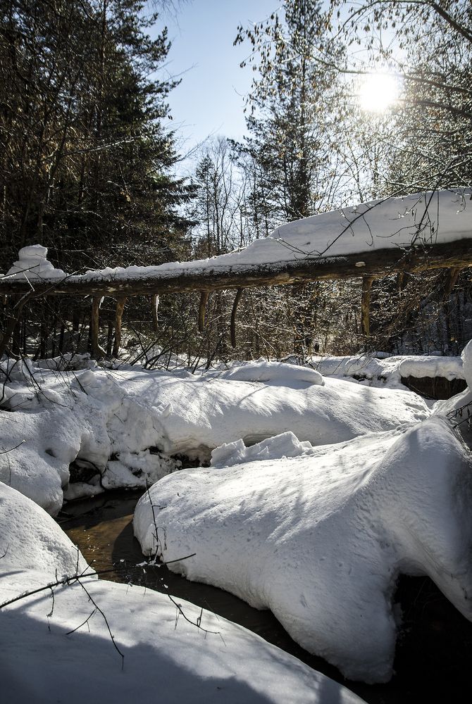 Фотография автора Андрей Рогов