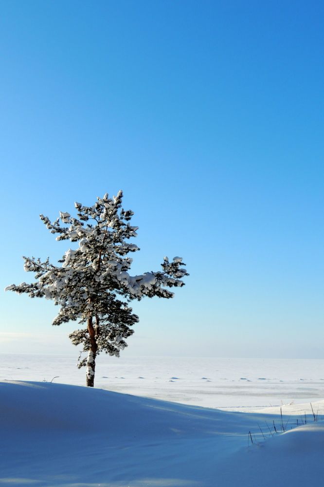 Photograph by Дмитрий Салов