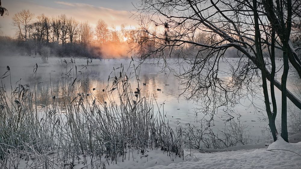 Фотография автора Анатолий Дауров
