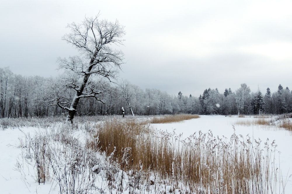 Photograph by Дмитрий Салов