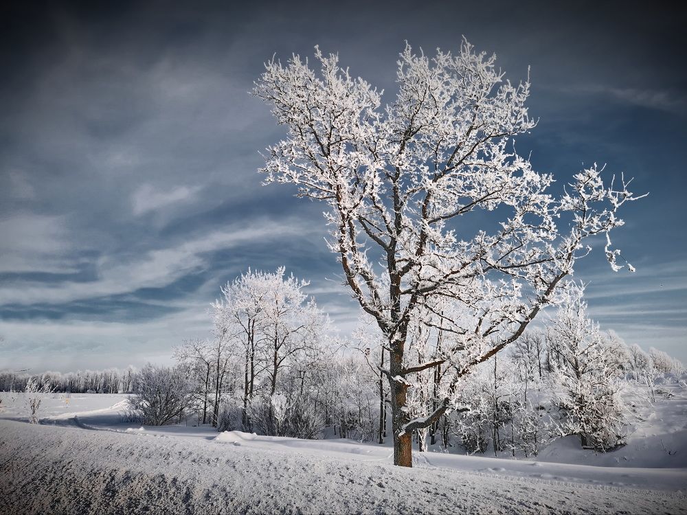 Фотография автора Анатолий Дауров