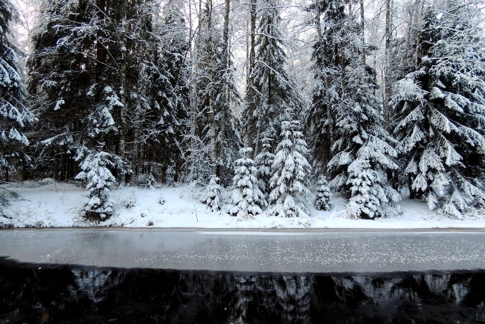 Photograph by Дмитрий Салов