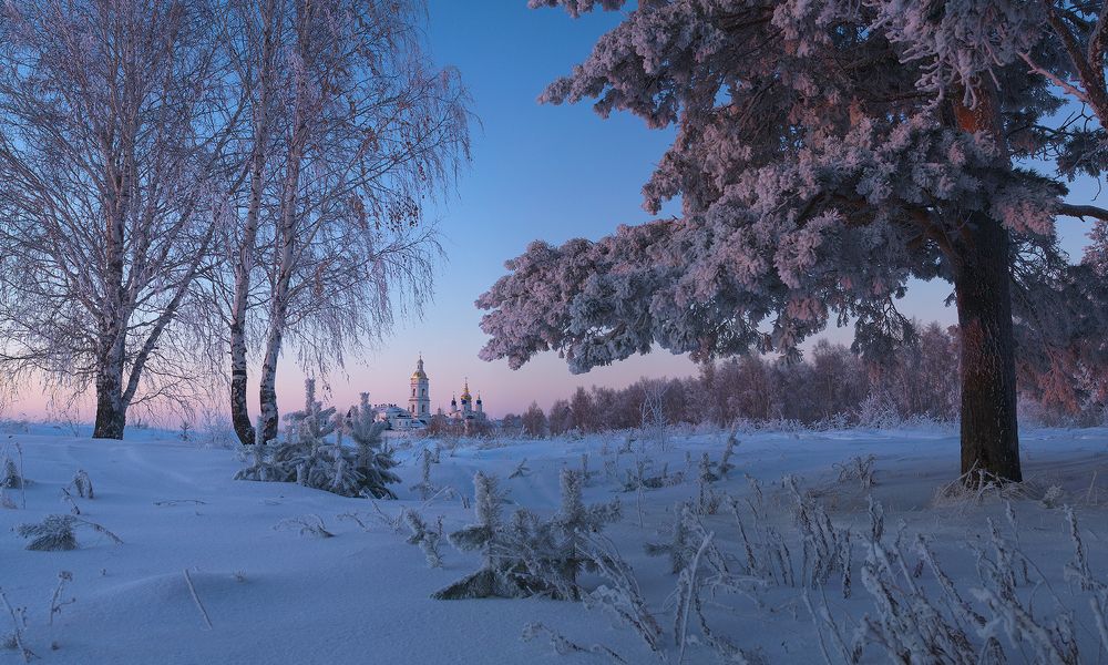 Photograph by TobolFoto Profii