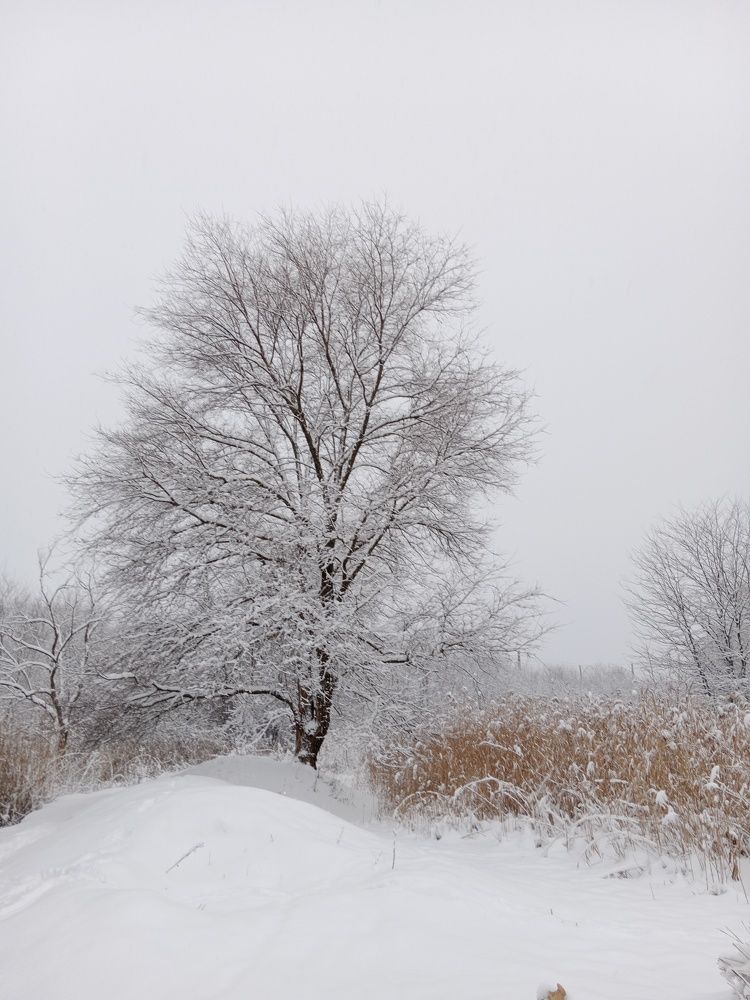 Photograph by Галина Григорьева