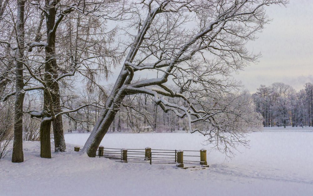 Photograph by Sergey Paramonov