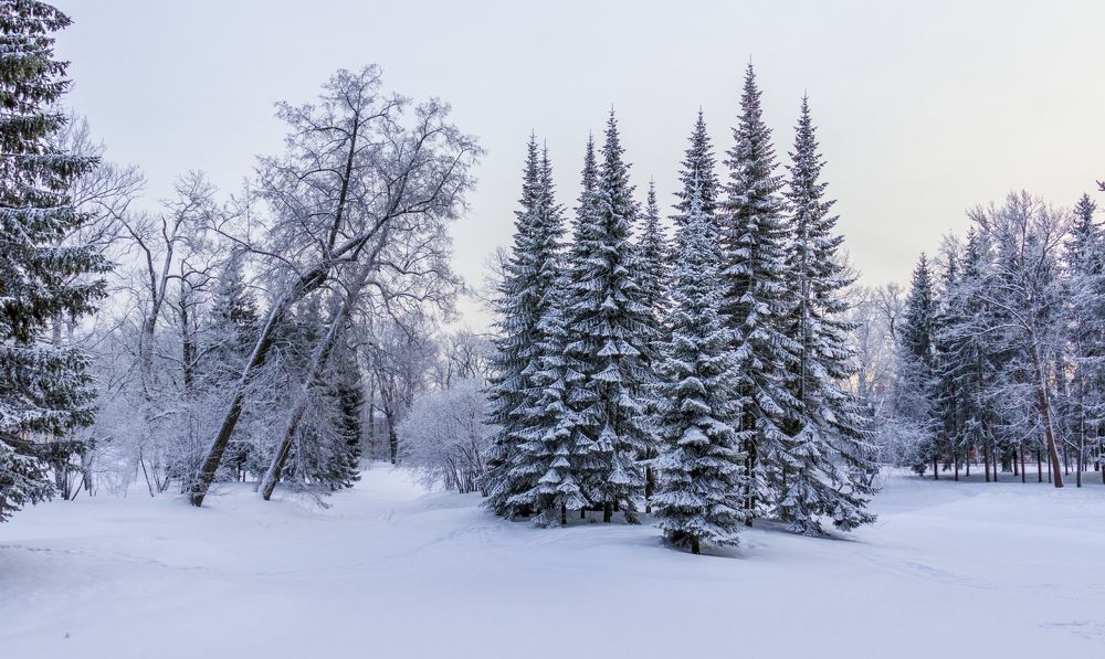 Photograph by Sergey Paramonov