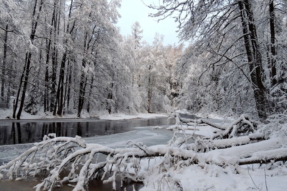 Photograph by Дмитрий Салов