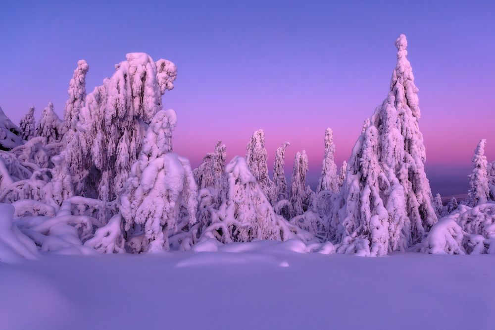 Photograph by Сергей Болденков