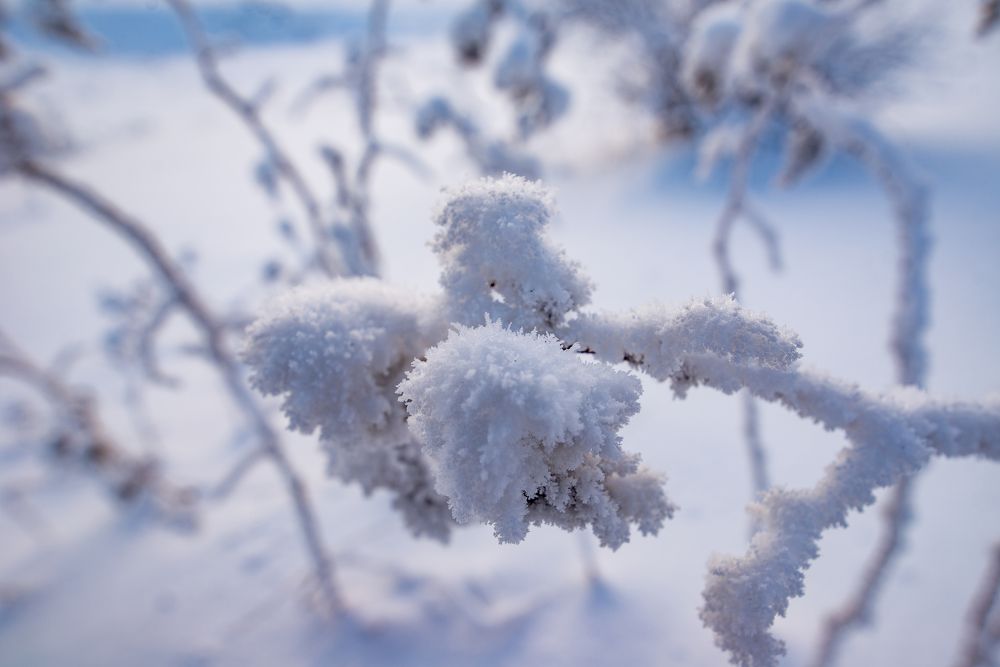 Photograph by Николай Грекалов