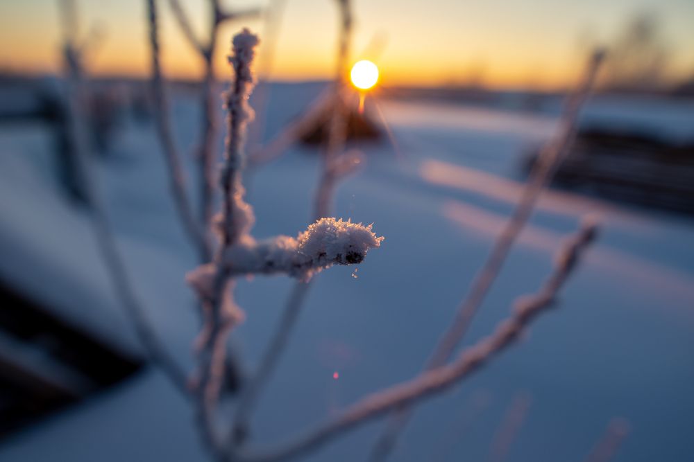 Photograph by Николай Грекалов
