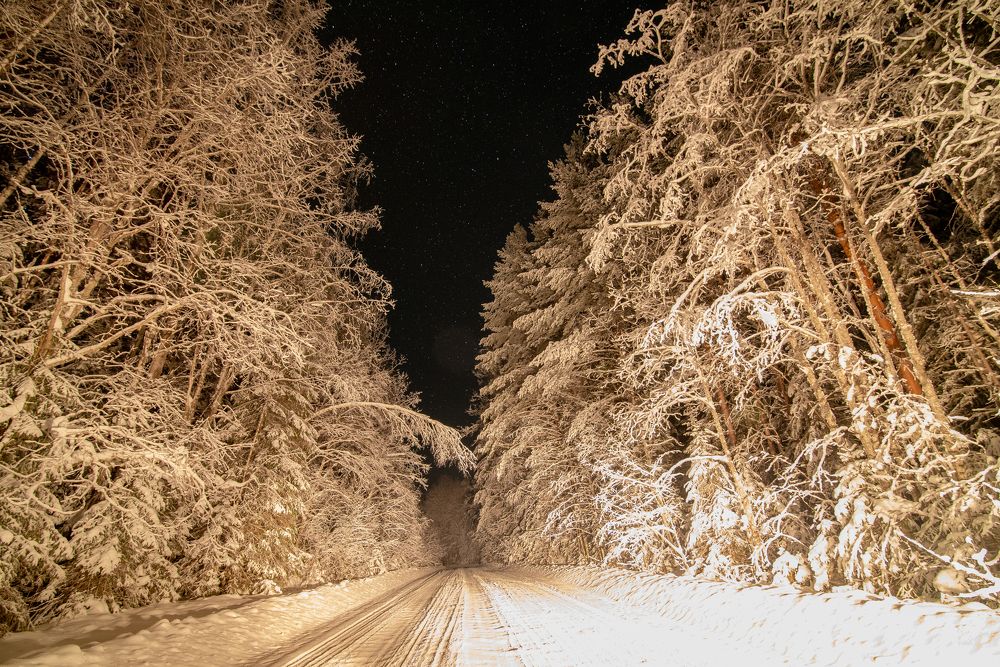 Photograph by Николай Грекалов