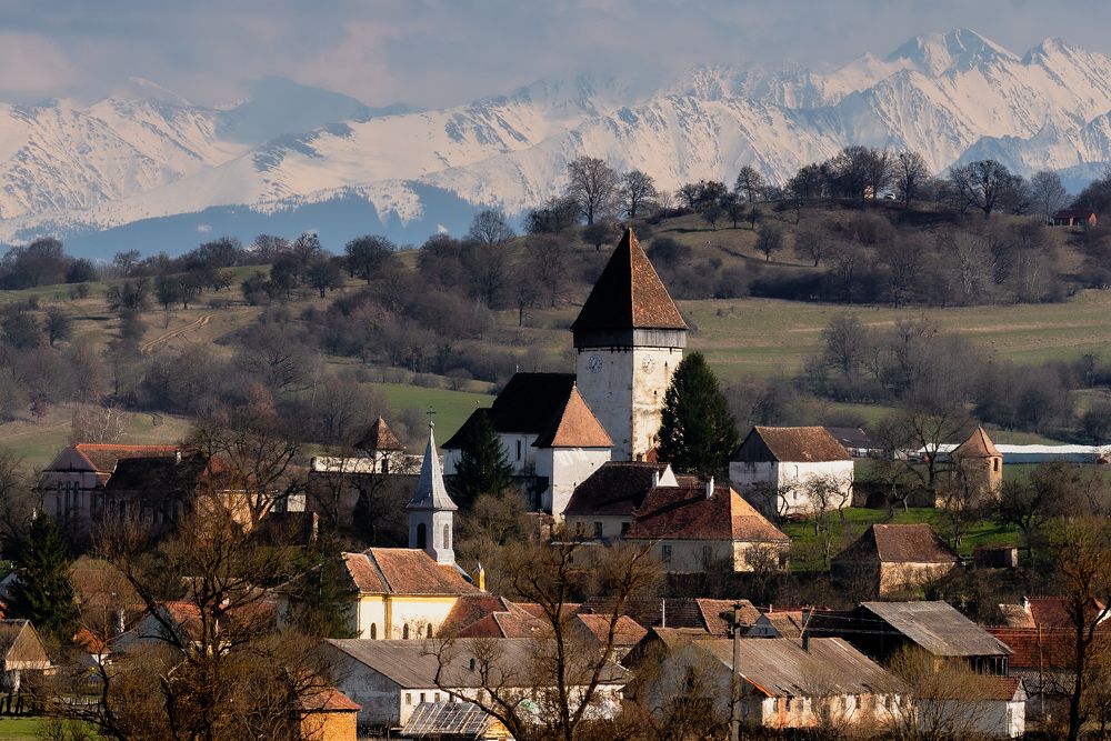 Photograph by Alin Bicas