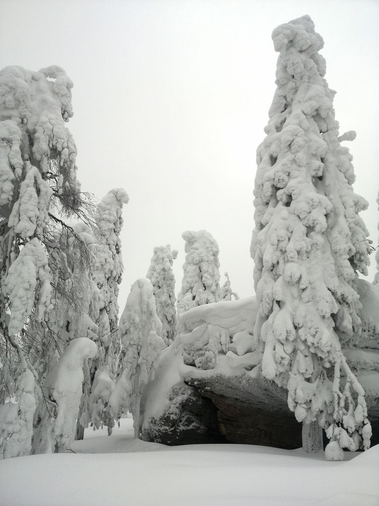 Зимний монохром