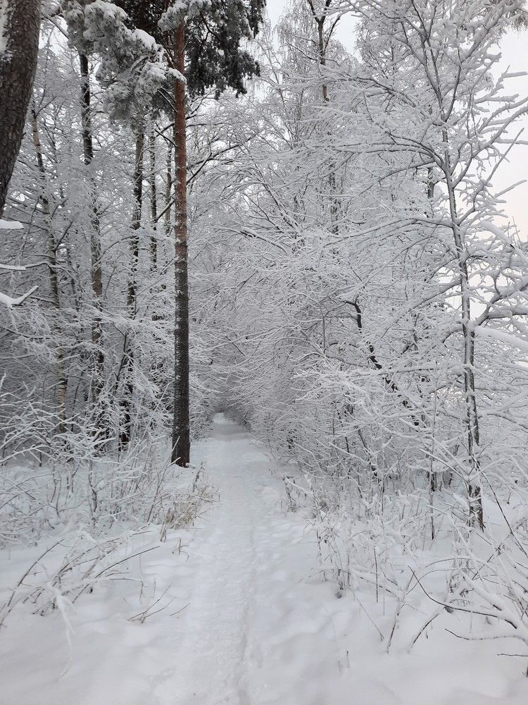 Photograph by Михаил Трусов