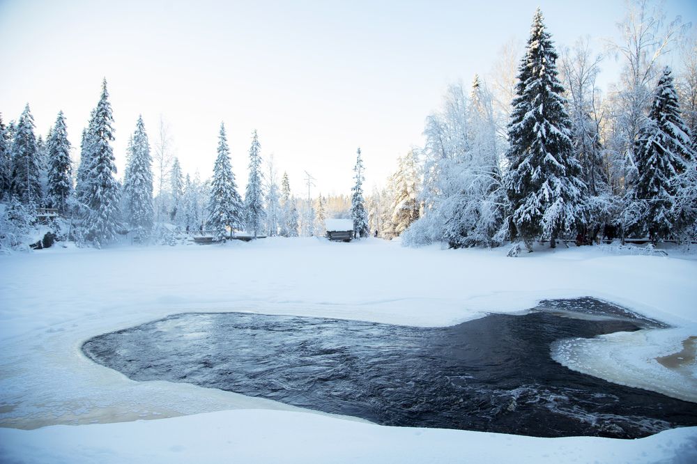 Photograph by Alena Poklonskaia