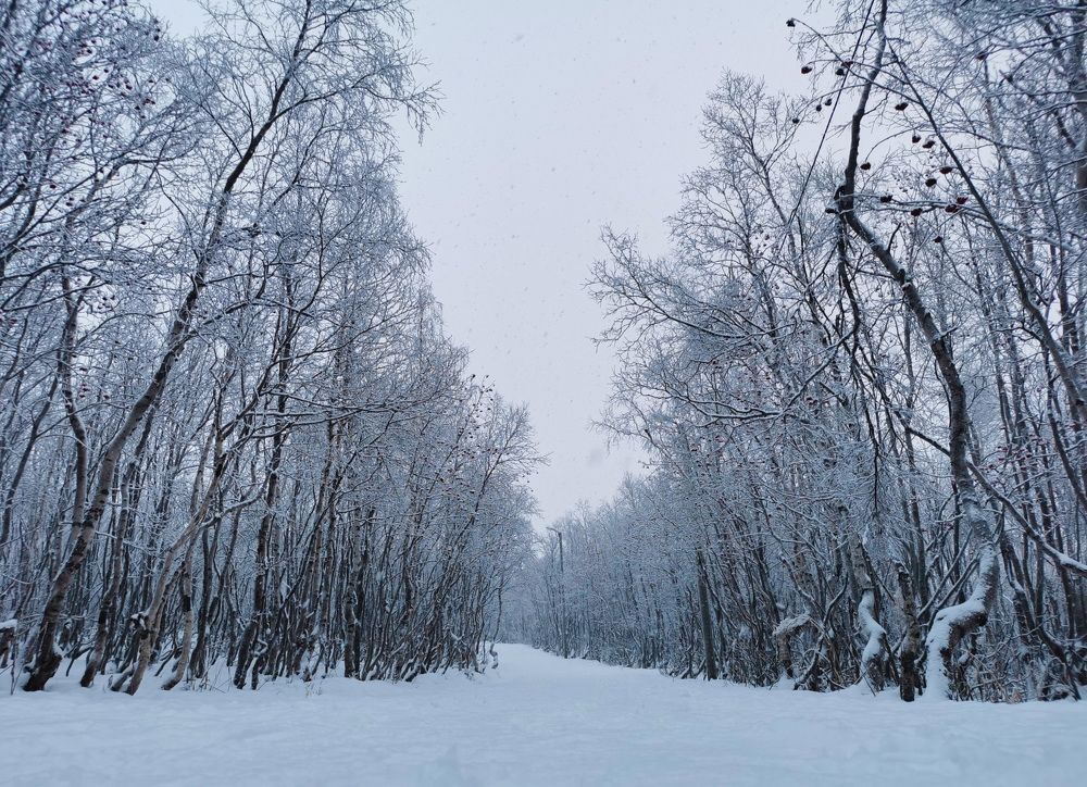 Photograph by Ева Мельникова