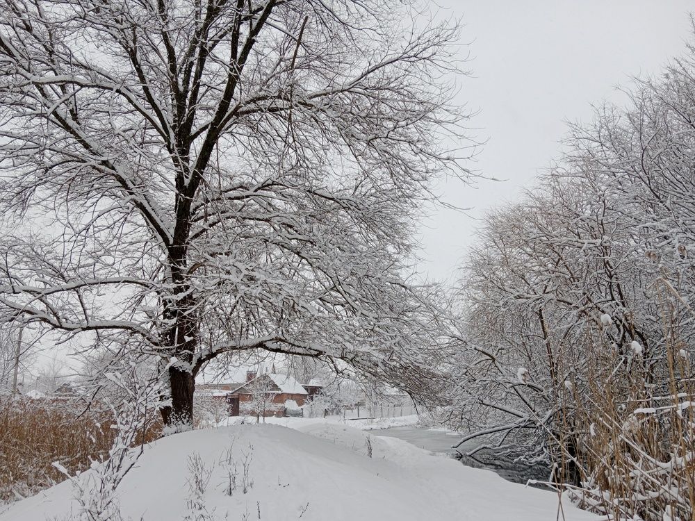 Photograph by Галина Григорьева