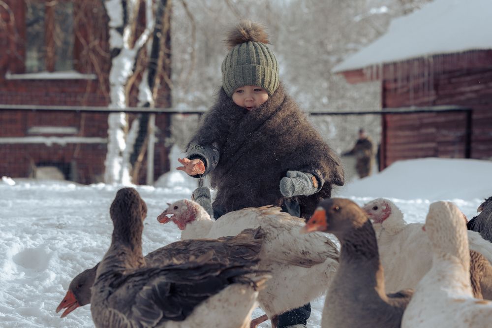 Photograph by Владимир Петухов