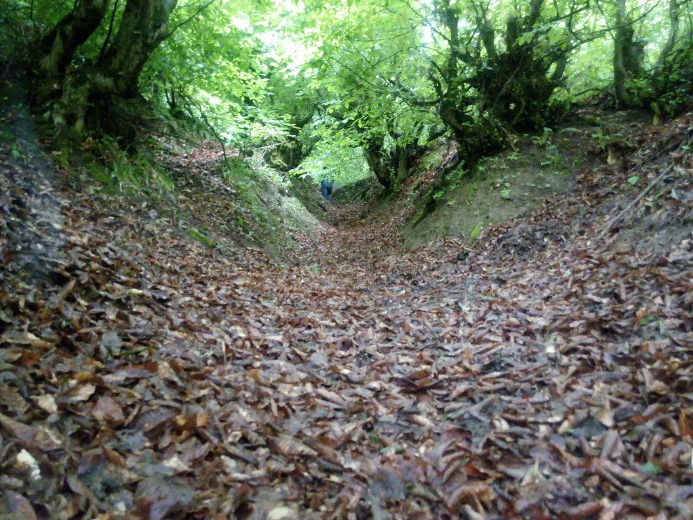 Photograph by Mahir Akhmadov