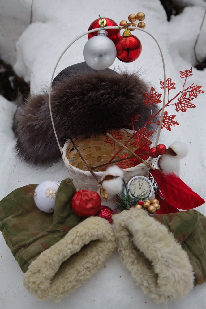 Photograph by Анатолий Протасов