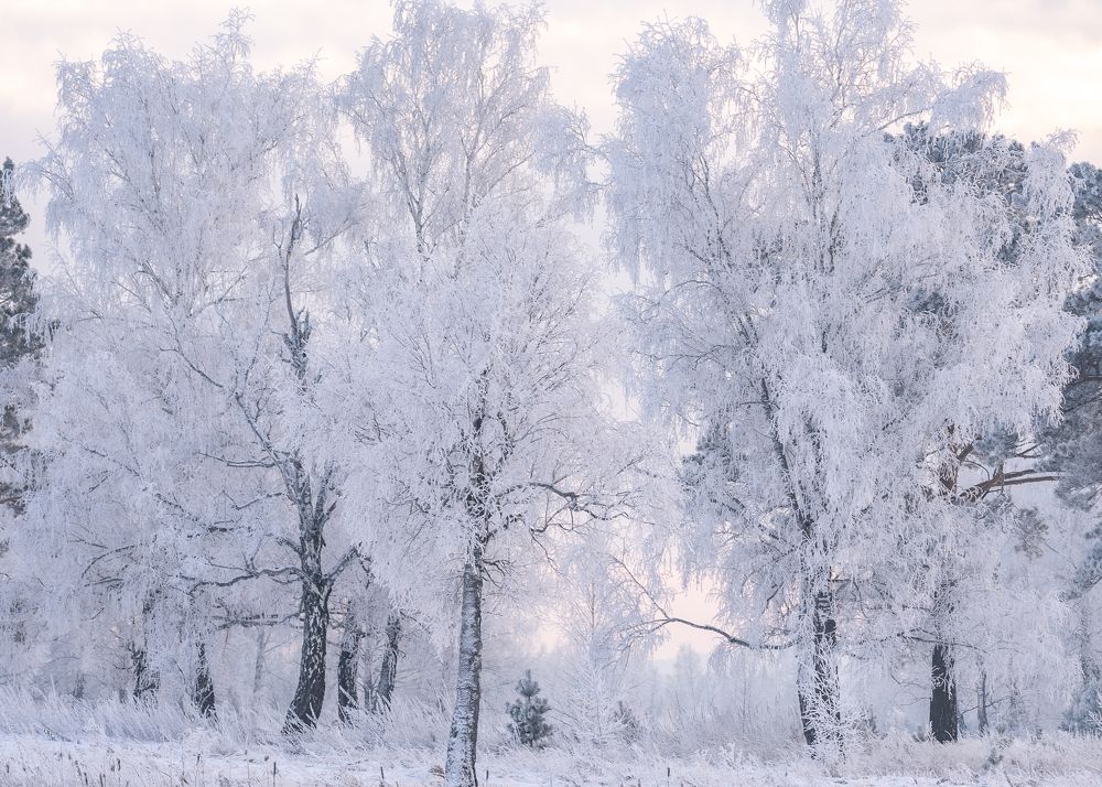 Photograph by Екатерина Дубровская
