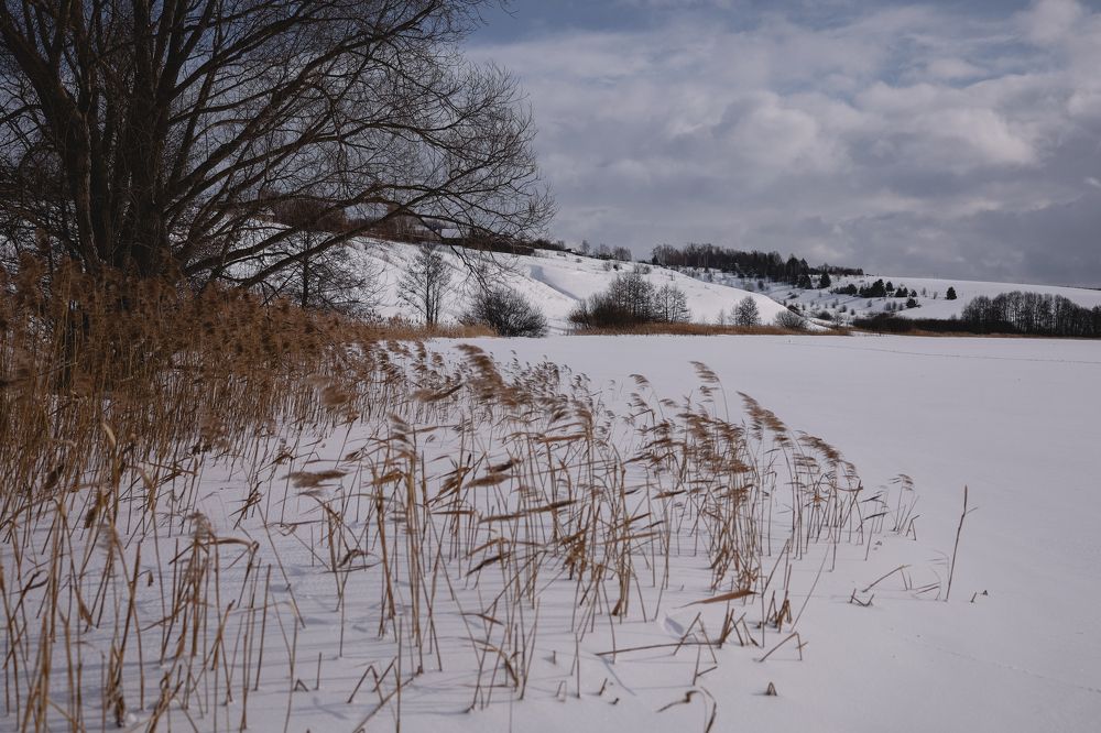 Photograph by Марина Слепова