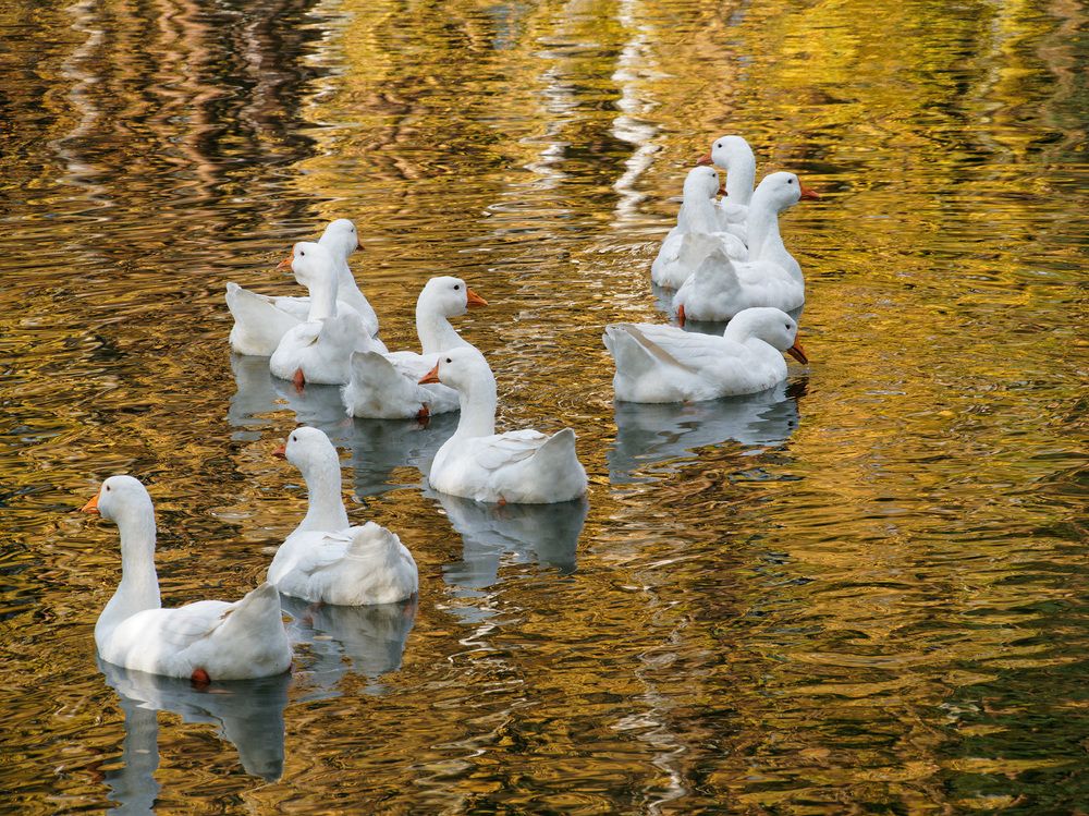 Photograph by Павел Кулинич