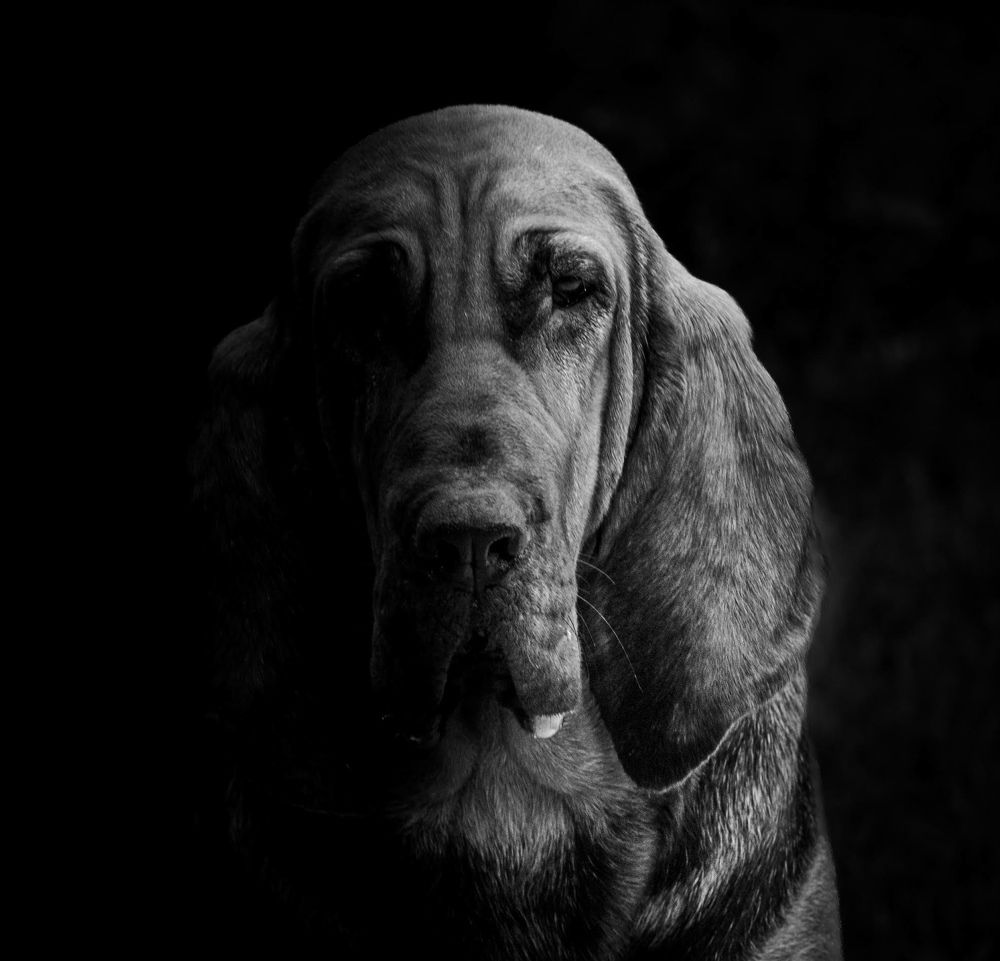 Photograph by Silvina Sánchez