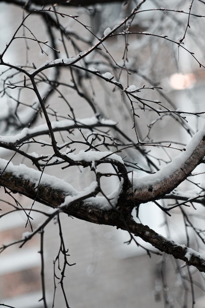 Photograph by Анастасия Псарёва