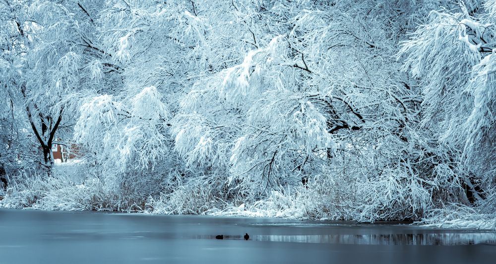 Photograph by Александр Редько